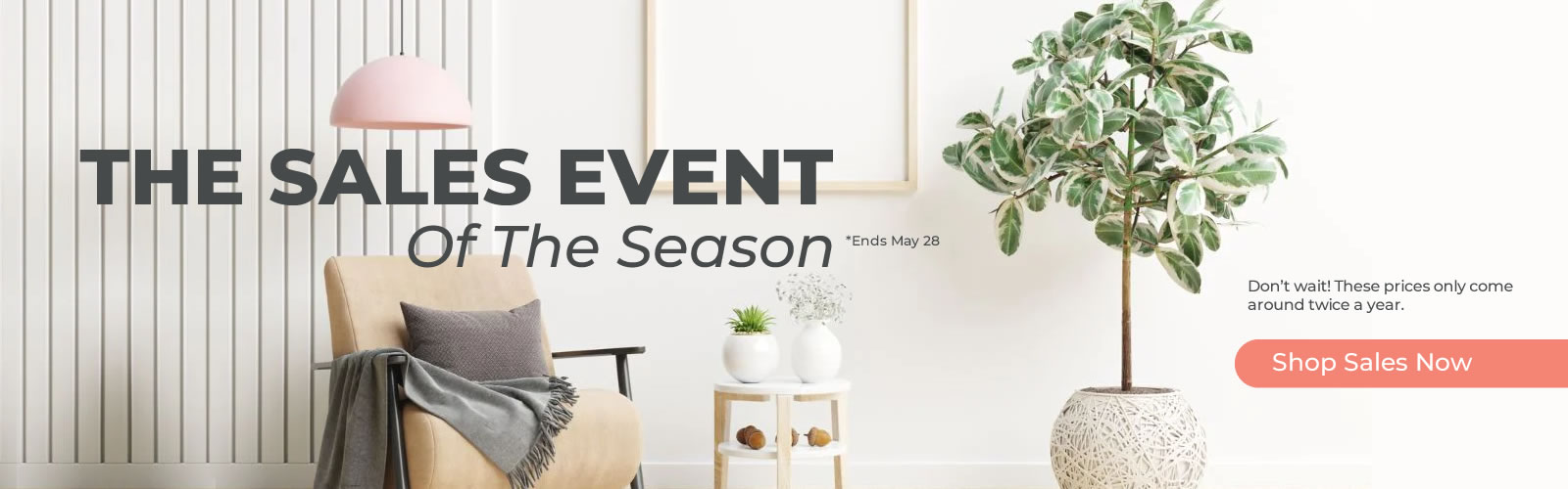 Spring Sale Deals Banner